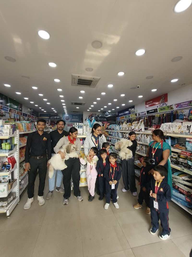 GABBAR TAILS - Best pet shop in Patna — Photo 4