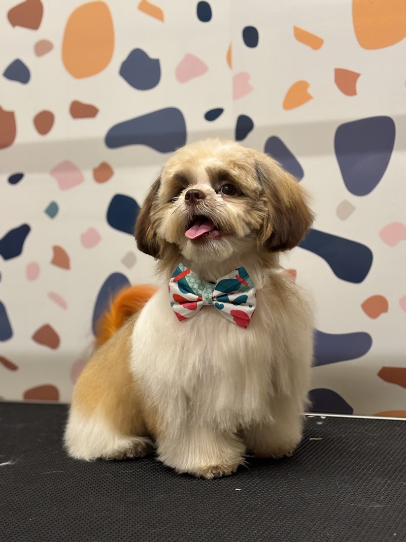 Gama Gama Pet Spa & Small Pet Boarding — Photo 2