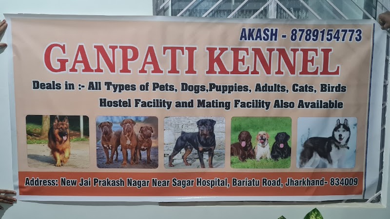 Ganpati Kennel — Photo 2