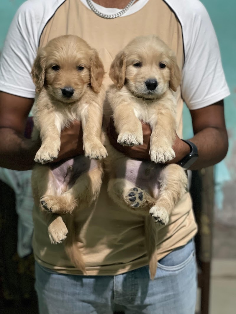 Garhwal Pet Shop - Pet Shop In Noida — Photo 4