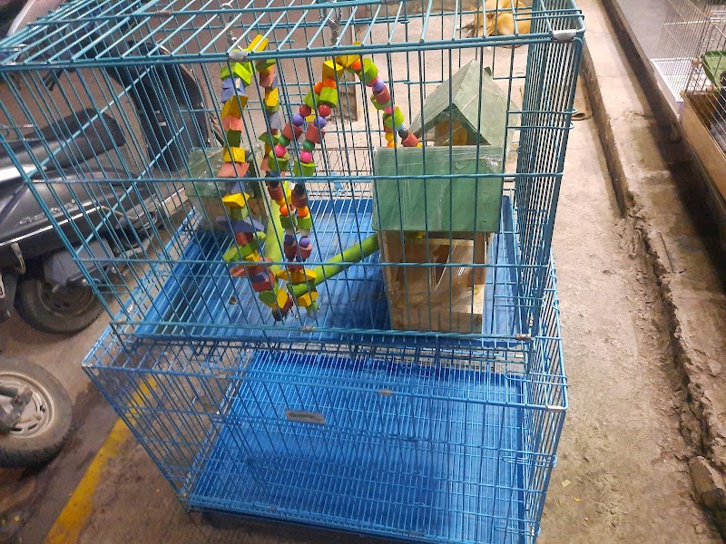 Giantland Pet Shop — Photo 2