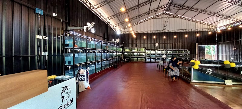 Global Ornamental Fish Farm — Photo 2