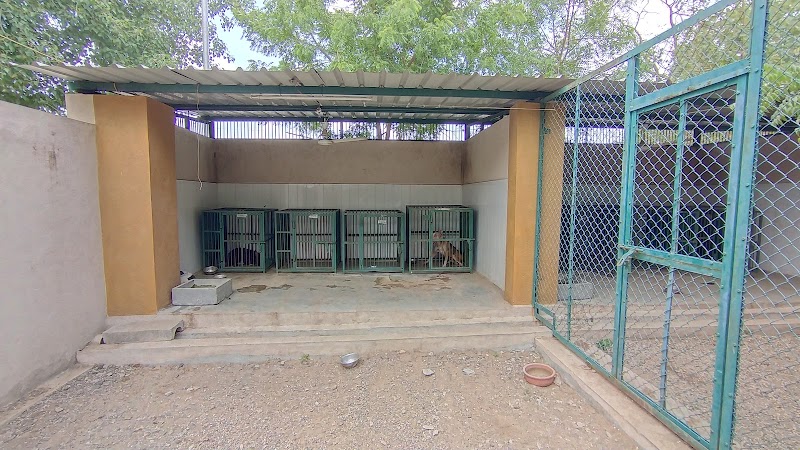 GOAL FOUNDATION Rajkot — Photo 2