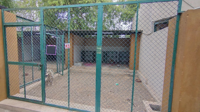 GOAL FOUNDATION Rajkot — Photo 3
