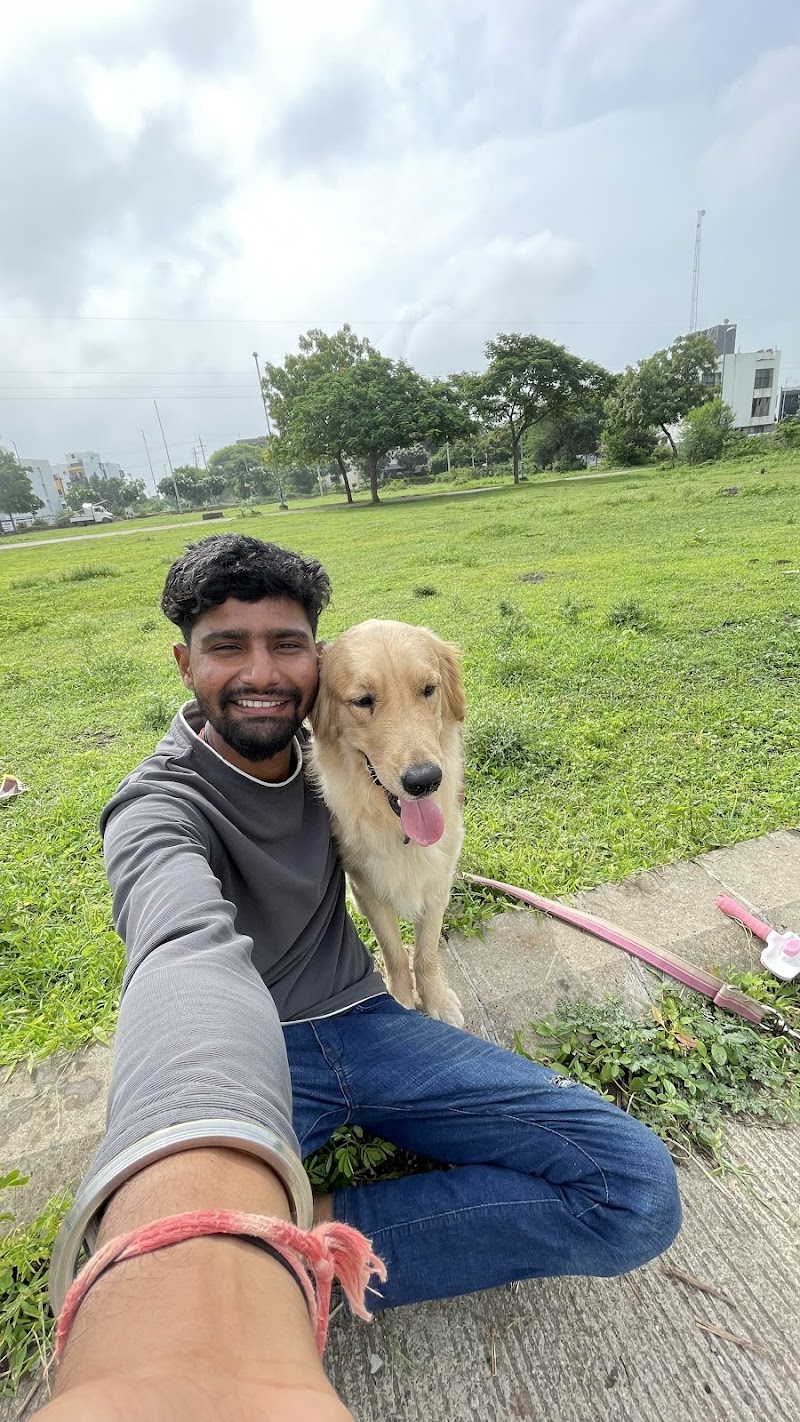 Golden grooming house — Photo 2