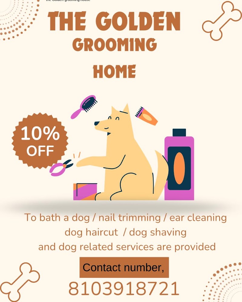 Golden grooming house — Photo 3