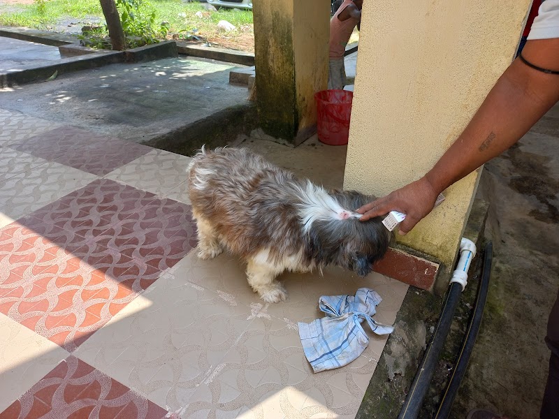 Government Animal Dispensary Argora