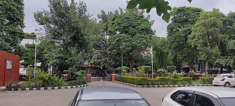 Government Pet Hospital — Photo 3