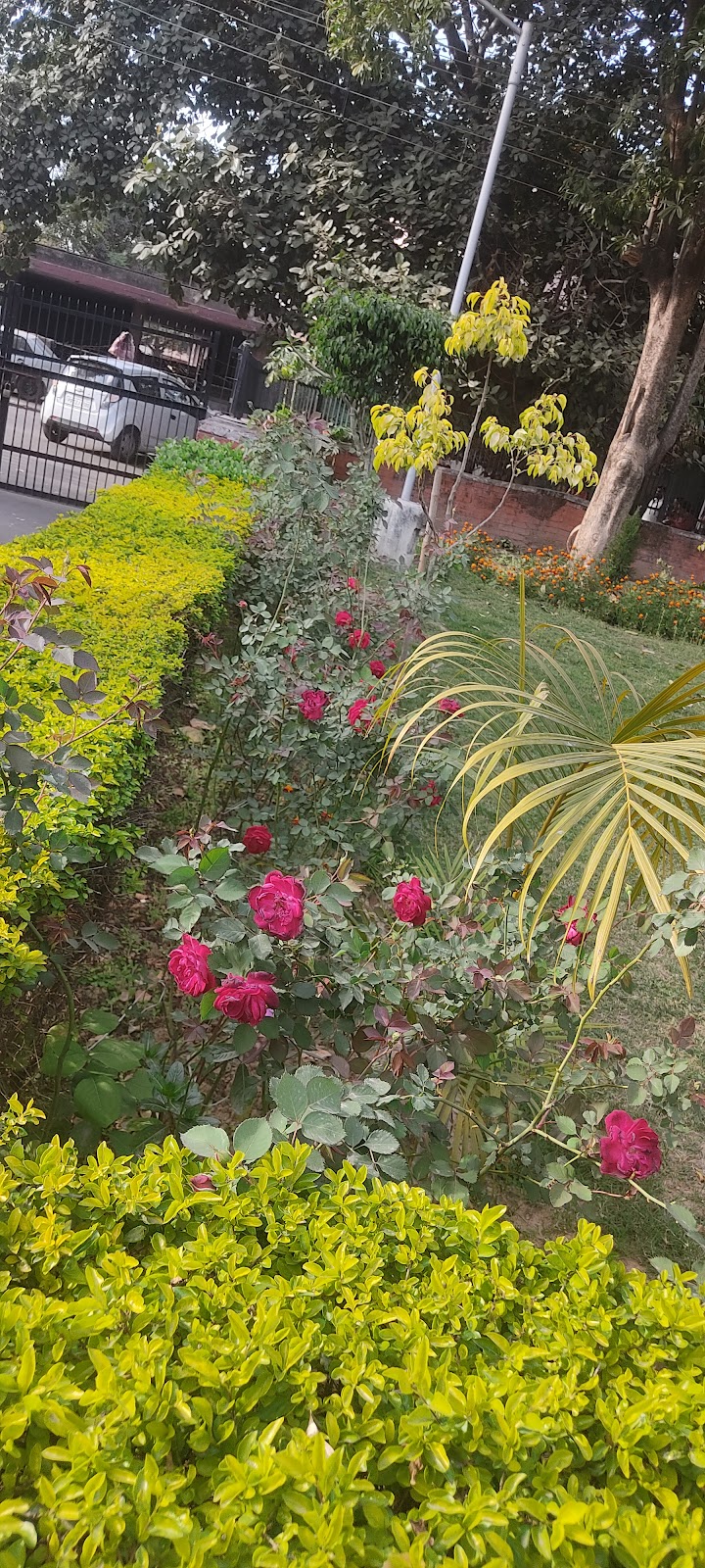 Government Pet Hospital — Photo 4