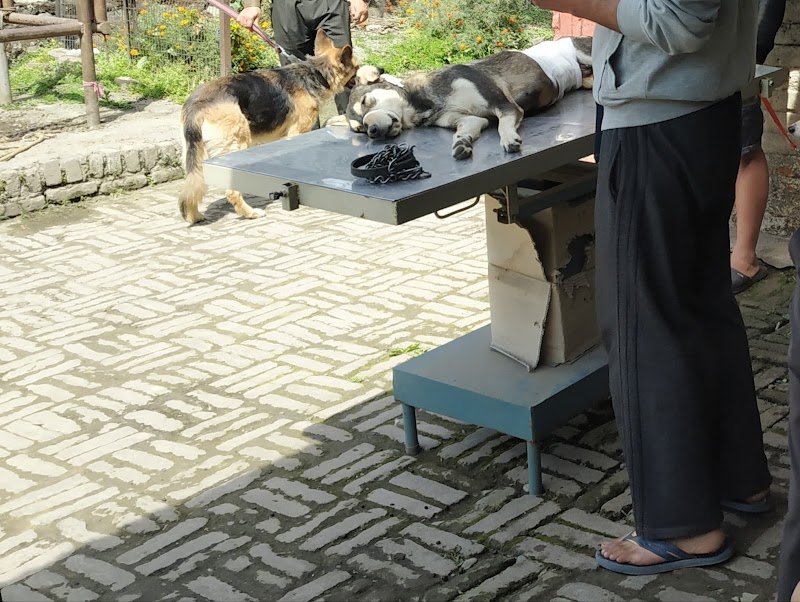 Government Veterinary Hospital — Photo 3