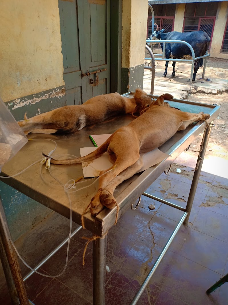 Government Veternary Hospital