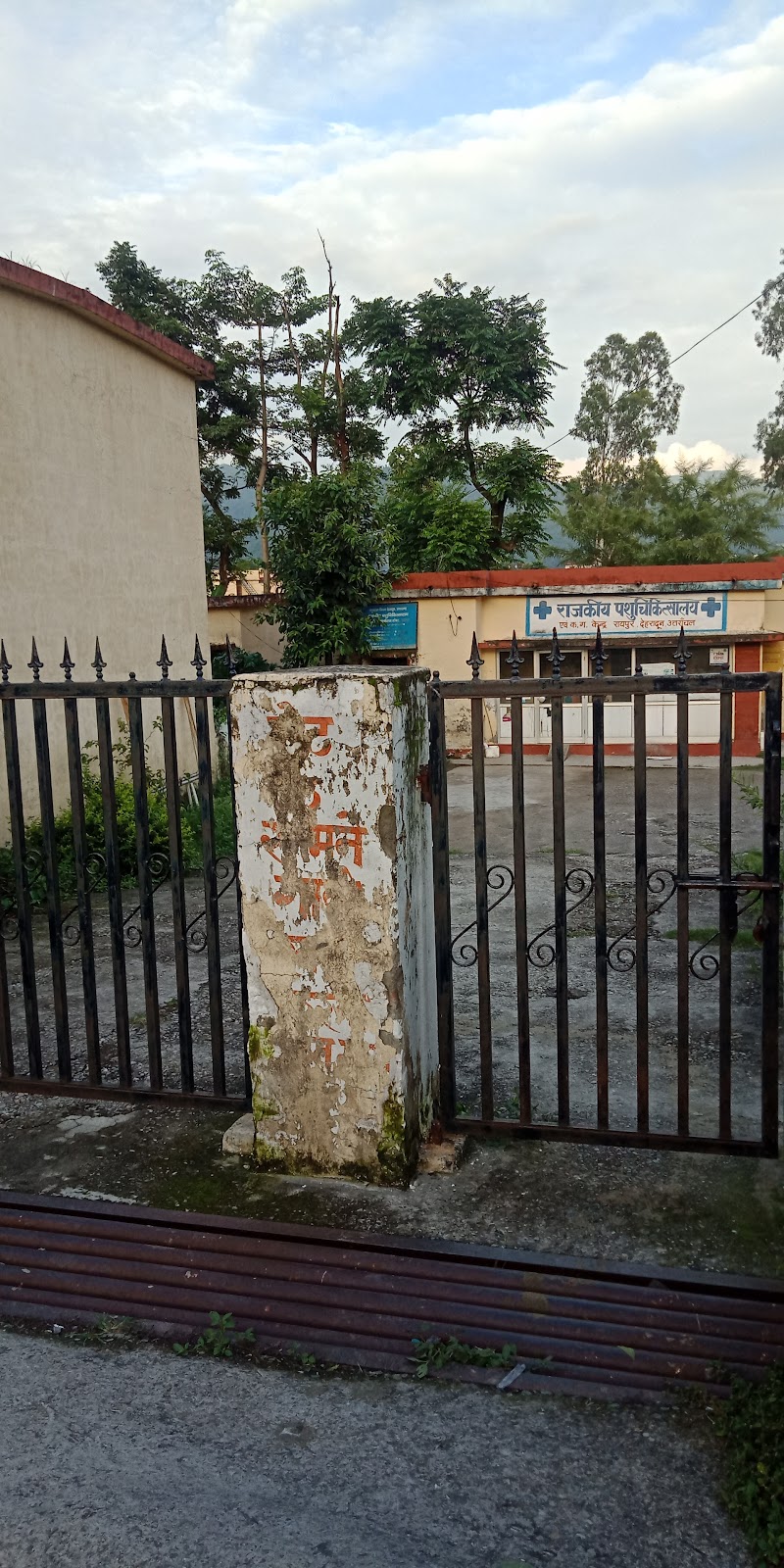 Govt Veterinary Hospital of Vivek — Photo 2