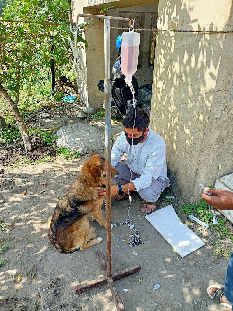 Govt Veterinary Hospital of Vivek — Photo 4