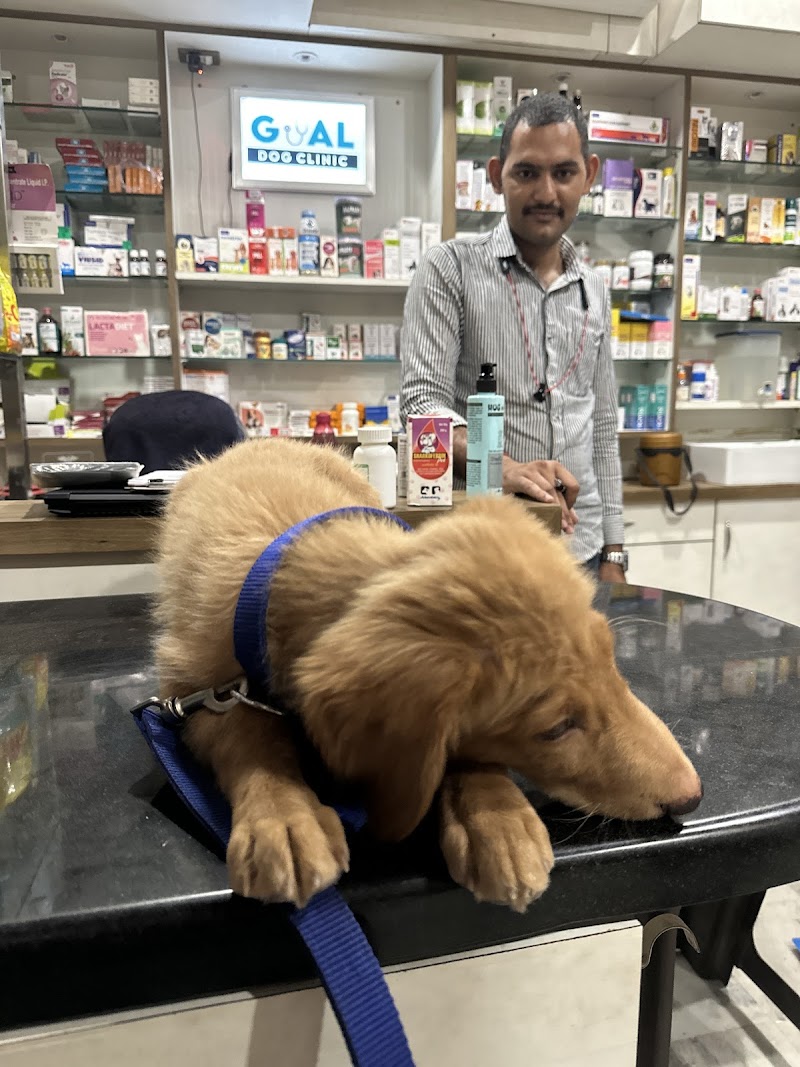Goyal Dog Clinic — Photo 3