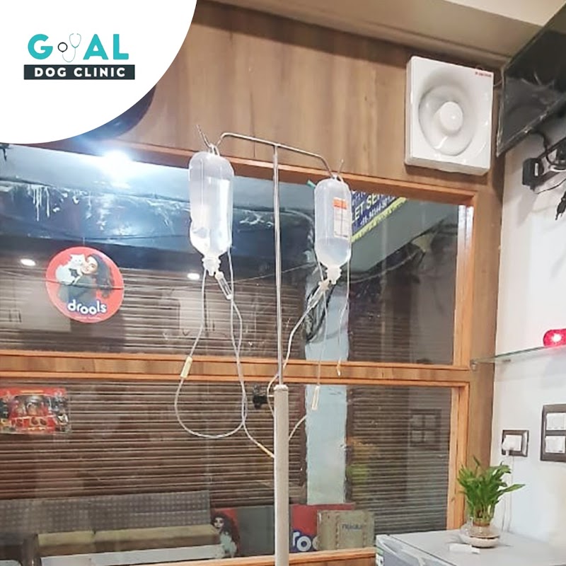 Goyal Dog Clinic — Photo 4