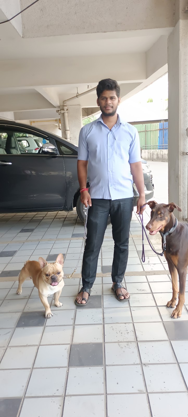 GS DOG WALKING AND SERVICE PUNE