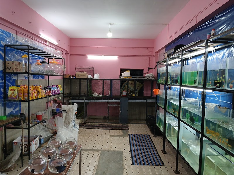 GUPPY KADA PET SHOP