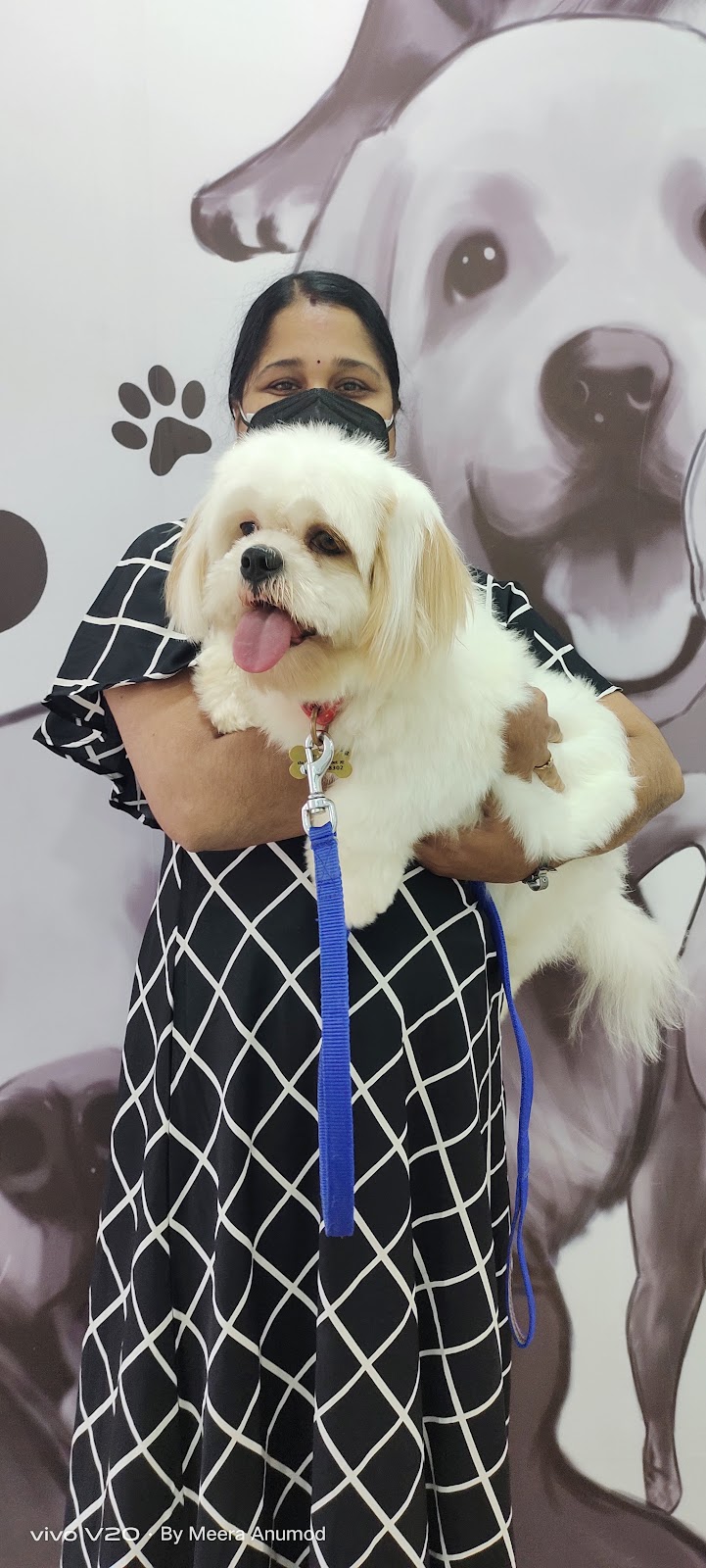 Hachiko India, Kochi — Photo 4