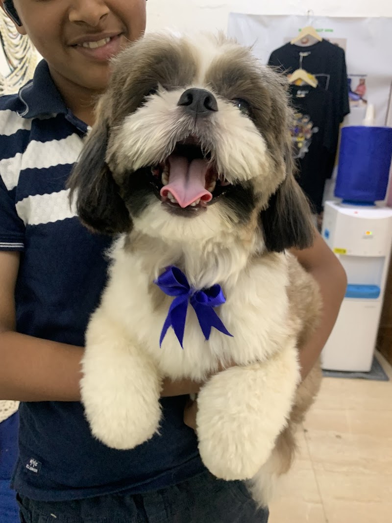 Hao FurEver Pet Spa & Store