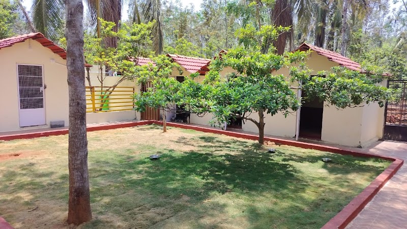 Happy Paws by Monica