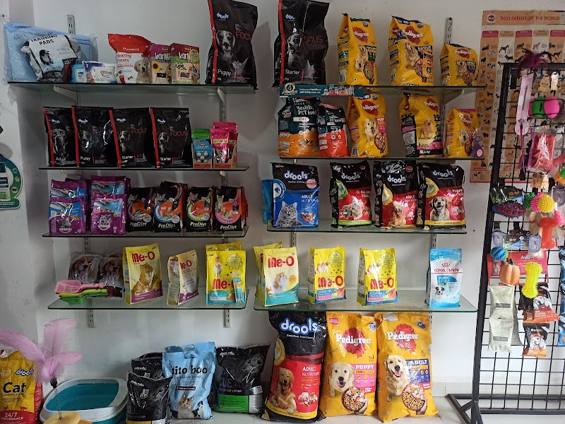 Happy paw's pet clinic — Photo 3