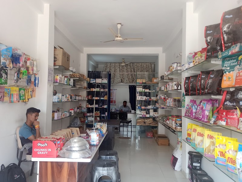 Happy paw's pet clinic — Photo 4