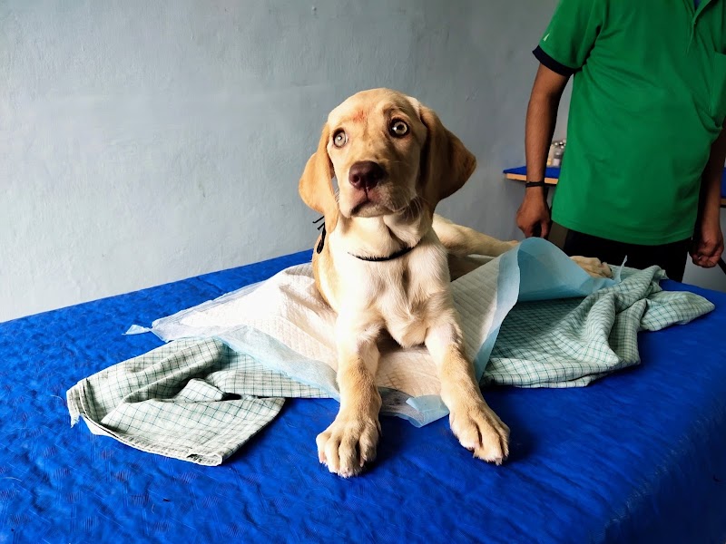 Happy Paw's Pet Clinic & Pet Shop — Photo 2