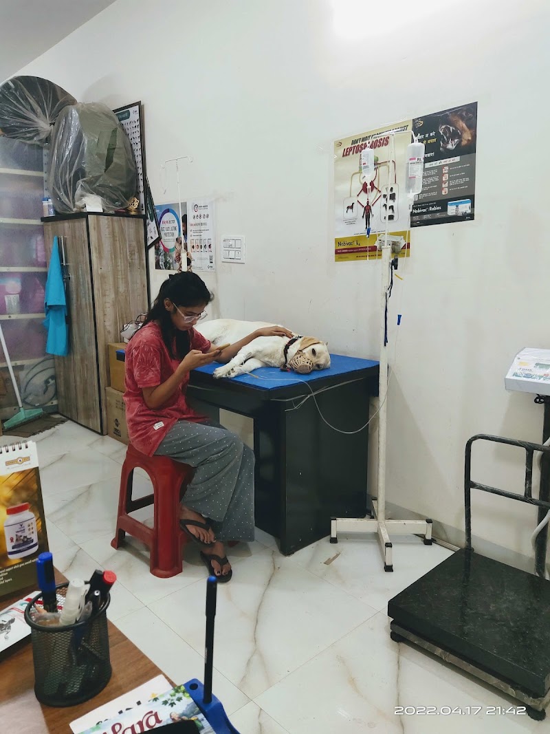 Happy Paw's Pet Clinic & Pet Shop — Photo 4