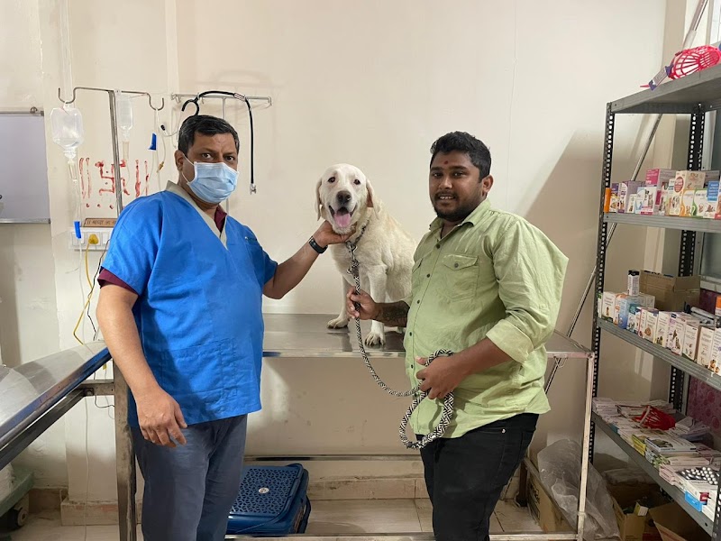 Happy Paws Pet Clinic