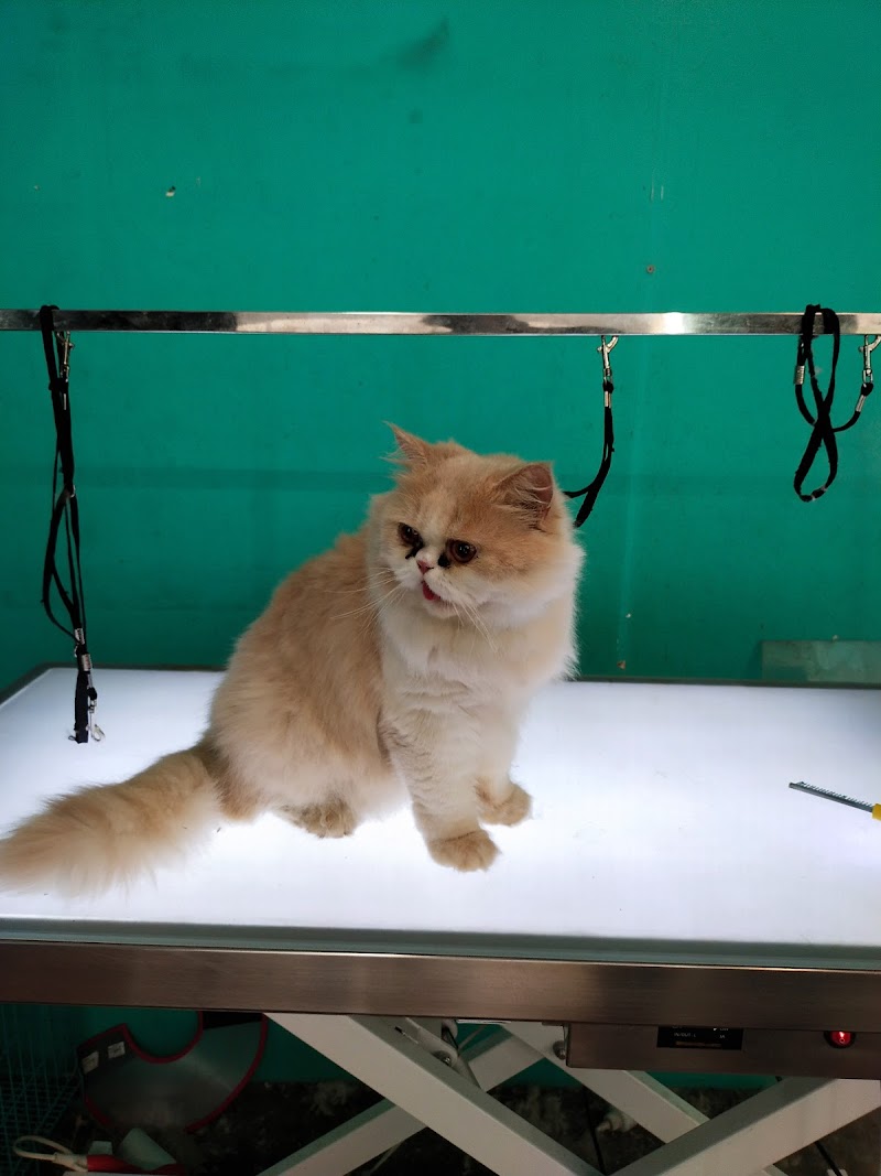 Happy Pet - Pet food and Pet Grooming center — Photo 3