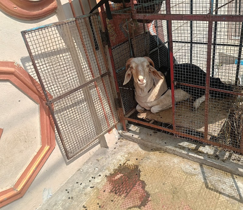 Happy Pets Boarding nd day care