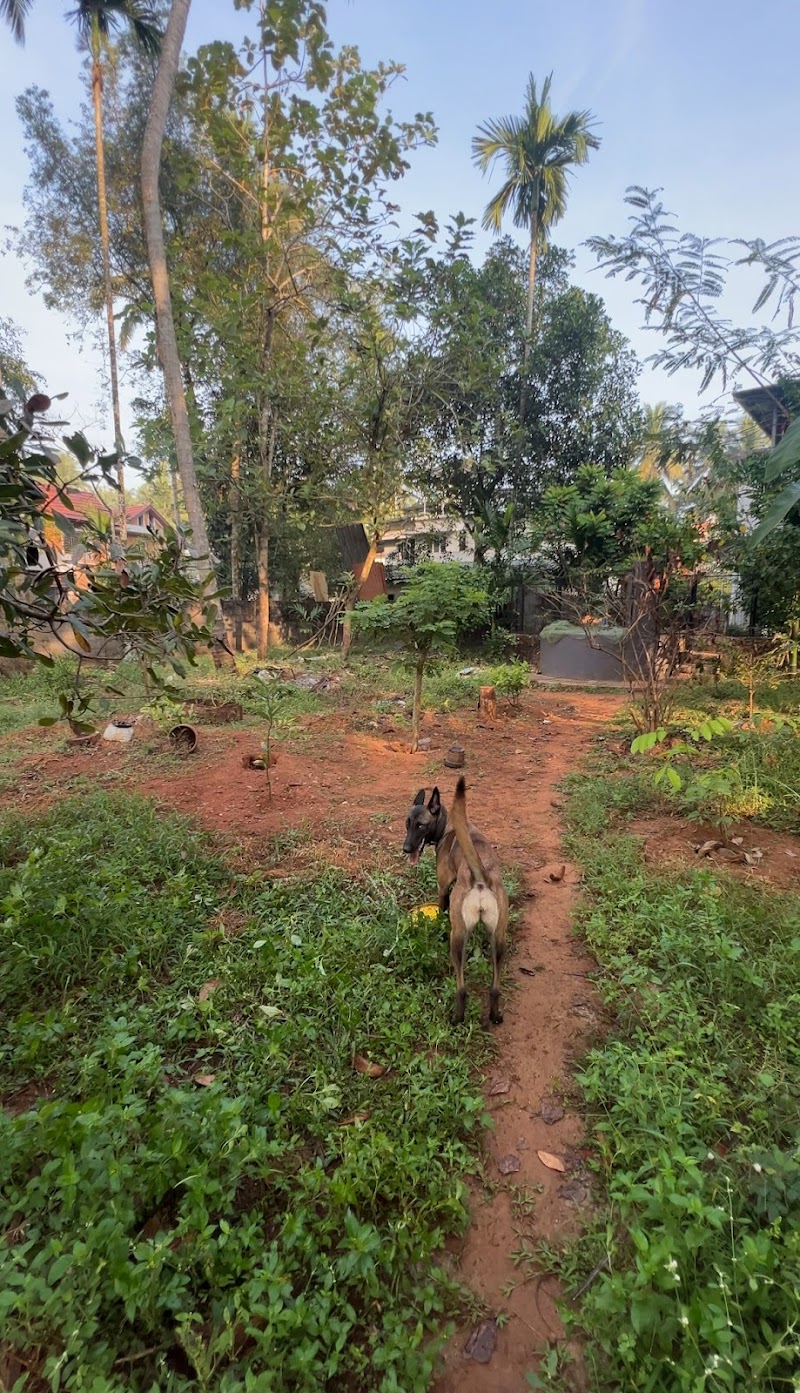 Happy Place Pet Boarding