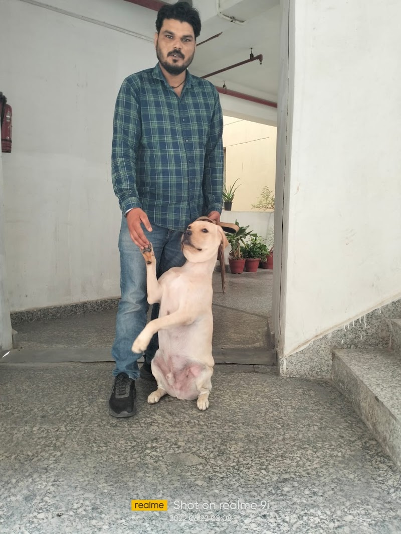 Happy Puppy Dog Training Centre — Photo 4