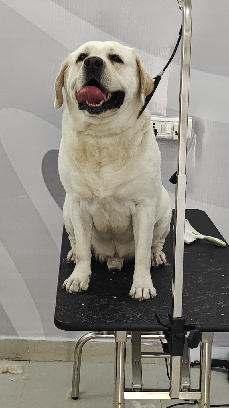 Happy Tails pet grooming salon — Photo 2