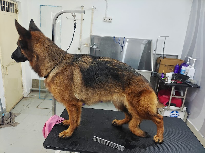 Happy Tails pet grooming salon — Photo 4