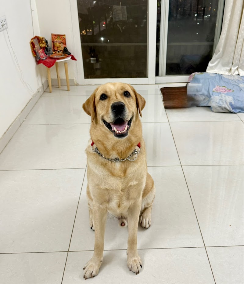 Happy Tails — Photo 4