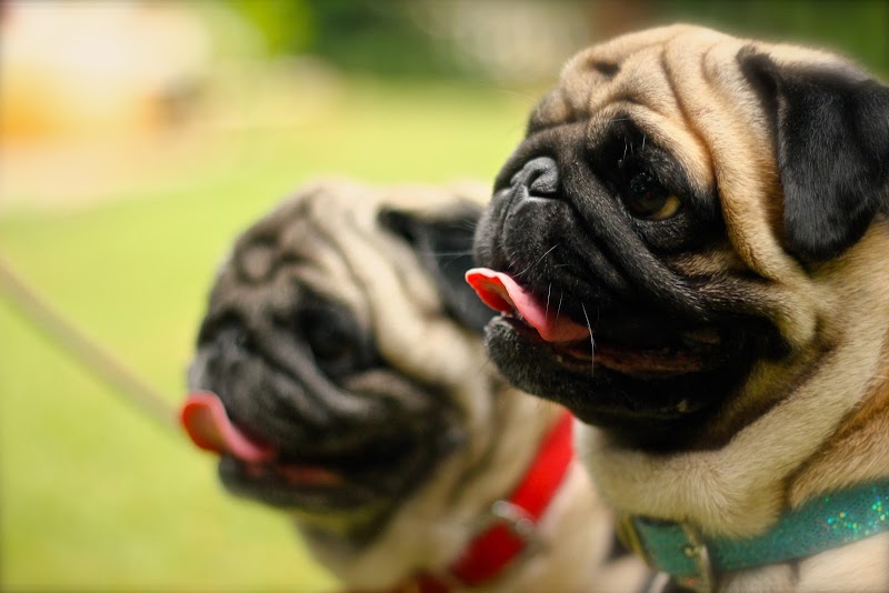 Harley & me — Photo 3