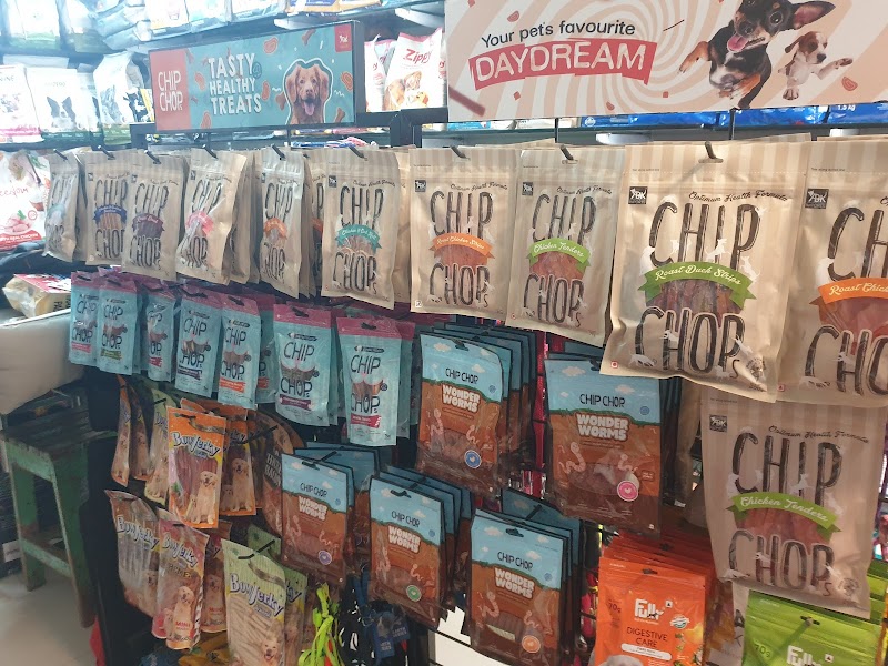 Head 2 Tail — Photo 2