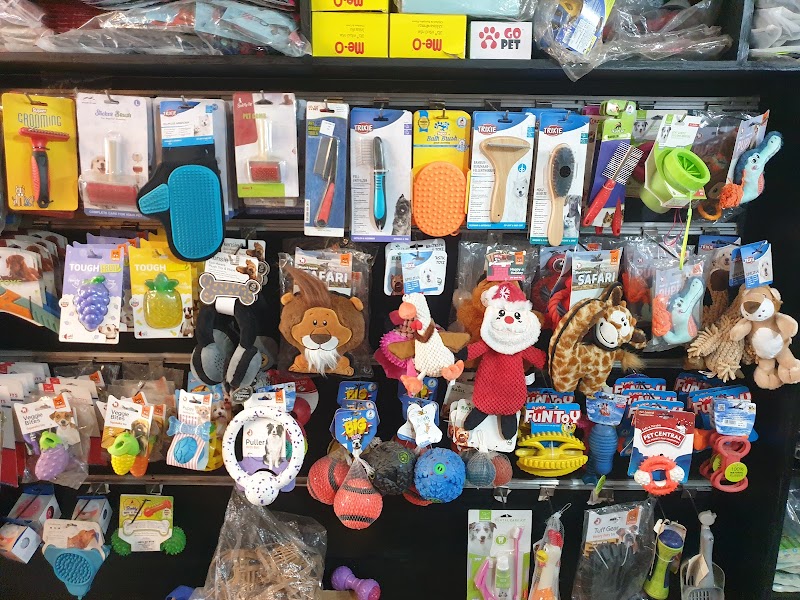 Head 2 Tail — Photo 3