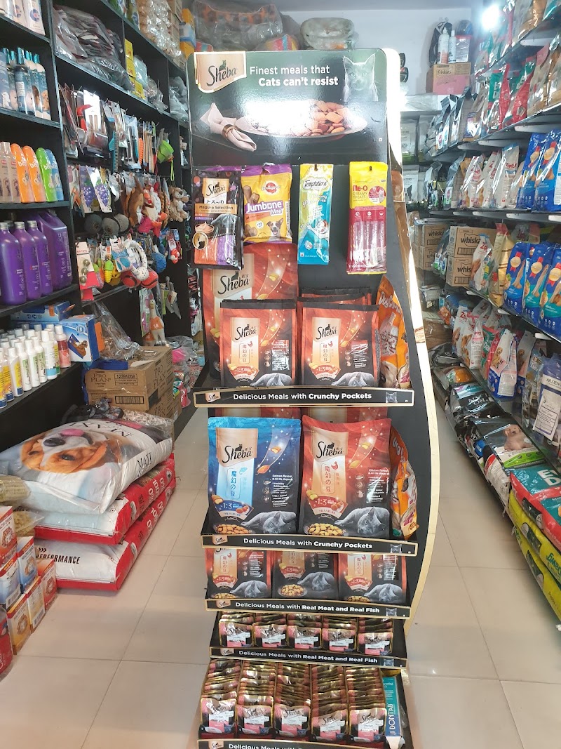 Head 2 Tail — Photo 4