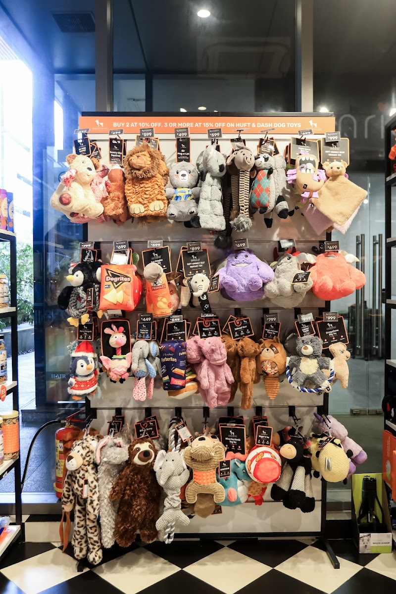 Heads Up For Tails Pet Store & Spa - Bellandur, Bengaluru — Photo 4