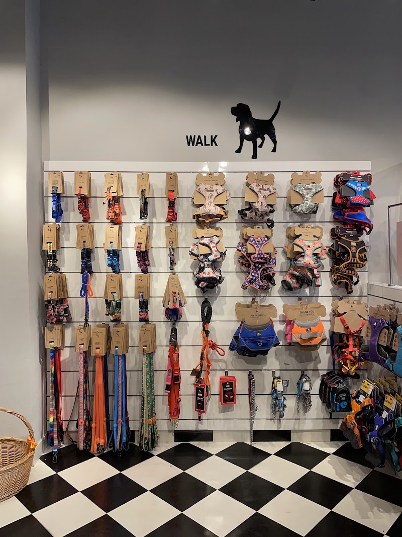 Heads Up For Tails Pet Store & Spa - Golf Course Rd, DLF Phase- 1, Gurgaon — Photo 4