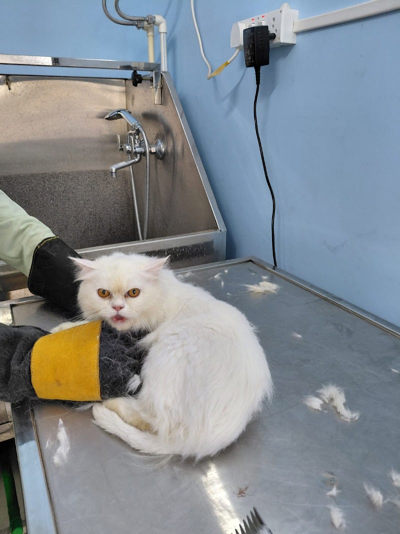 Healthy Paws Veterinary Clinic — Photo 4