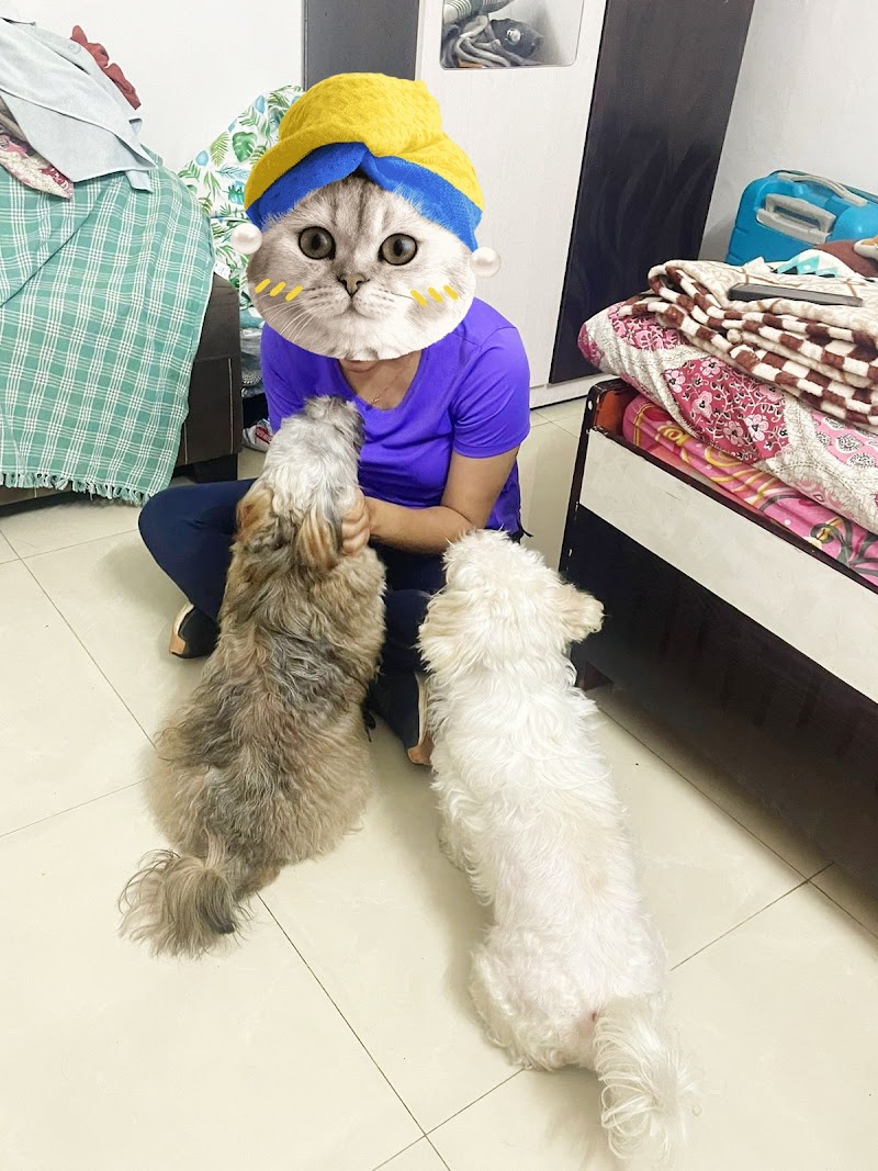 Homely Pet Boarding — Photo 4