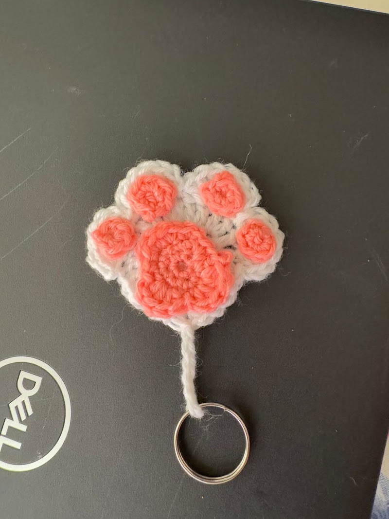 Homely stay Cat boarding — Photo 4