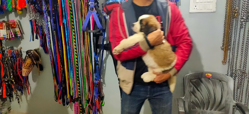 Honey Pet Shop — Photo 4