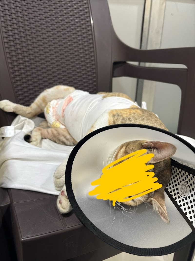 Honey’s Vet Clinic (HVC) — Photo 2