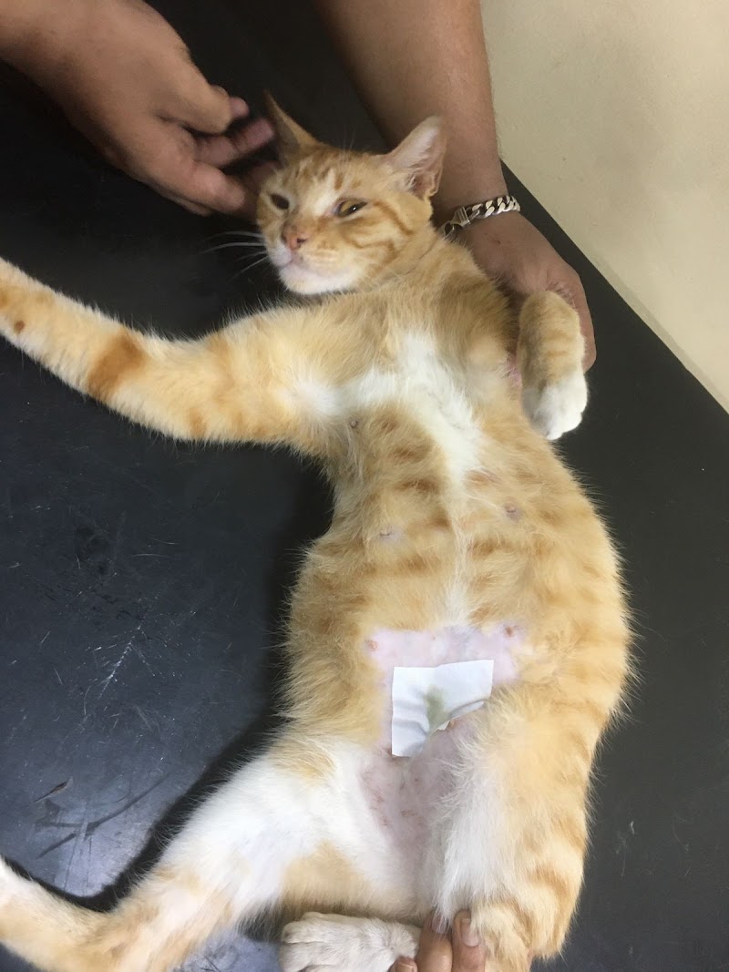 Honey’s Vet Clinic (HVC) — Photo 3