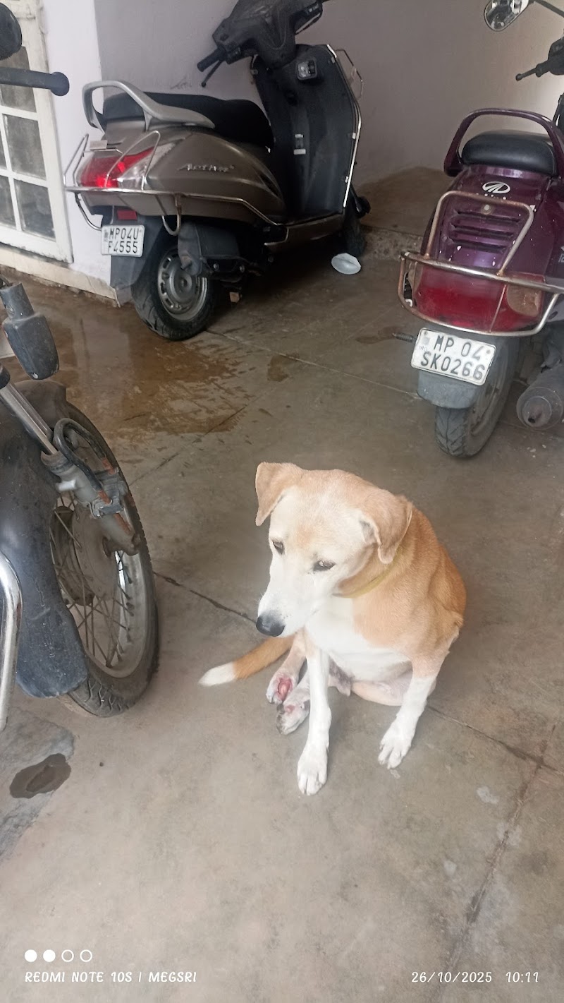 Hope Animal Clinic — Photo 3