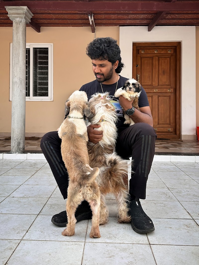 IK K-9 Dog Trainer and Behaviourist-CBE. — Photo 2